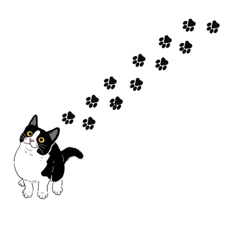 Cat paws