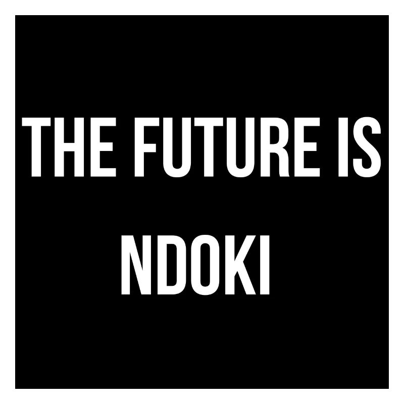 THE FUTURE IS NDOKI