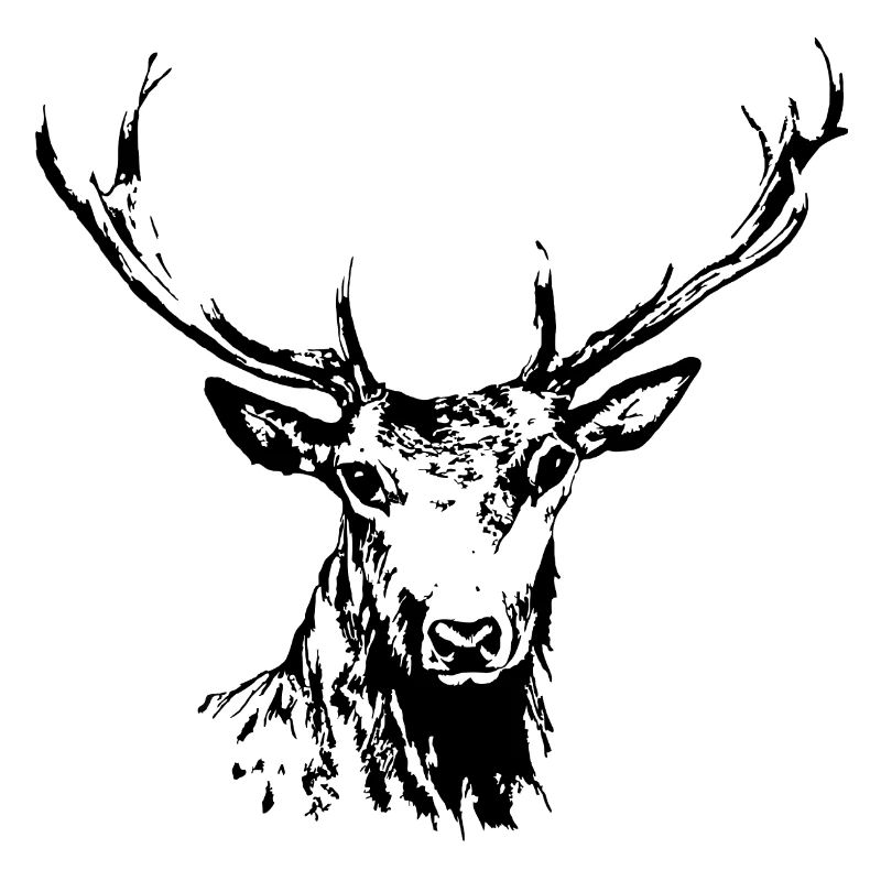 Hirsch