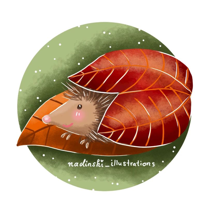 Igel im Herbst