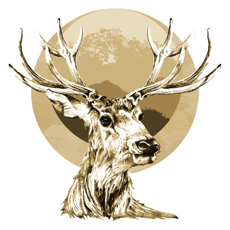 Cerf