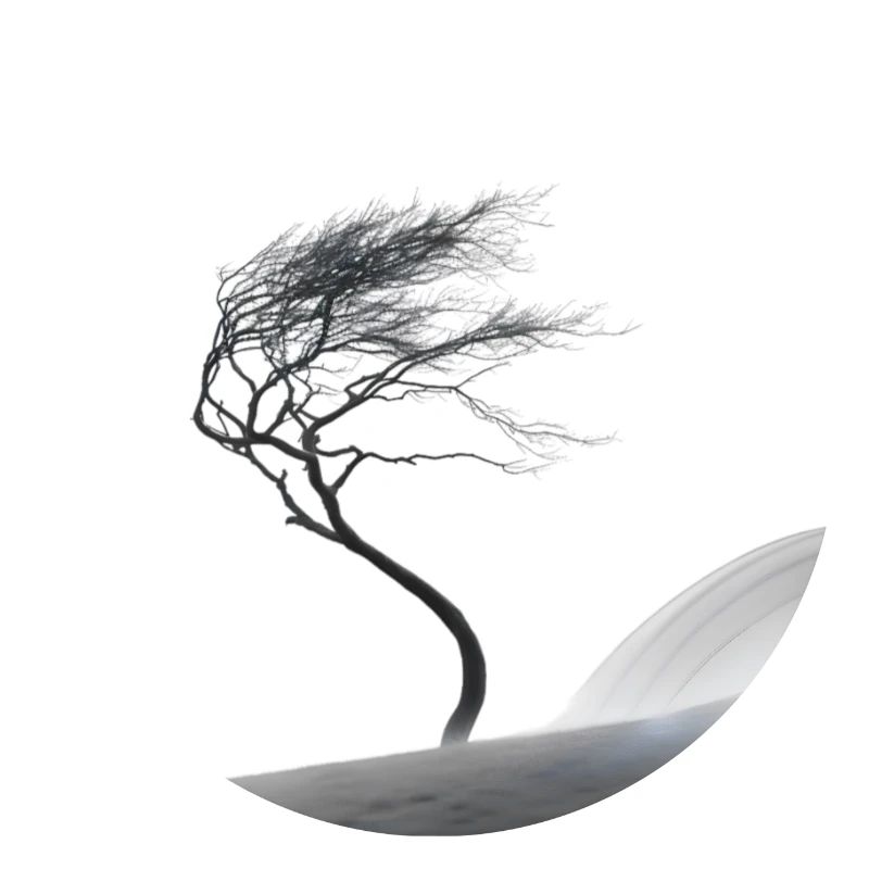 A small tree in the big storm