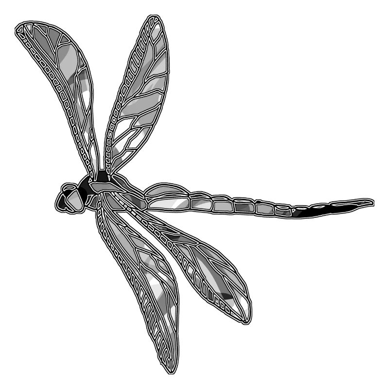 Dragonfly
