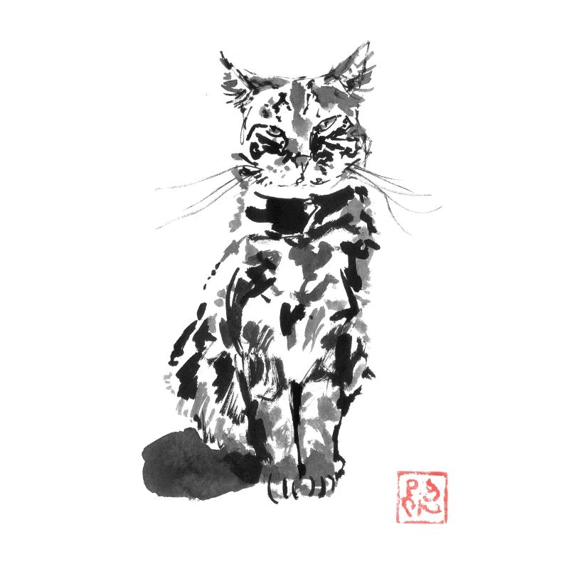 Verdächtige Katze
