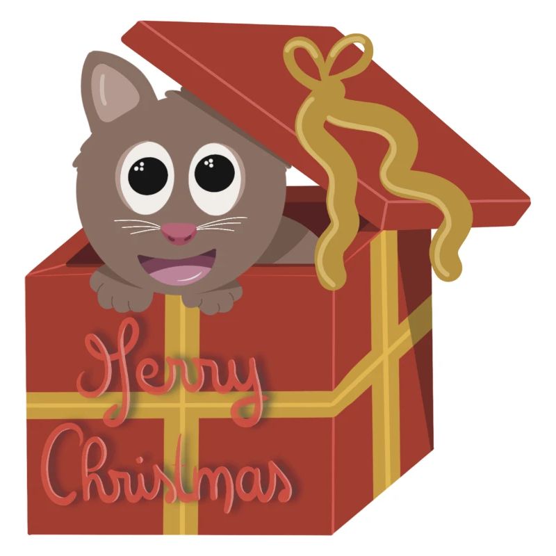 Chaton de Noël