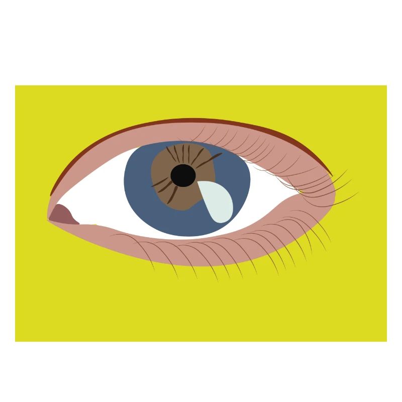 Oeil