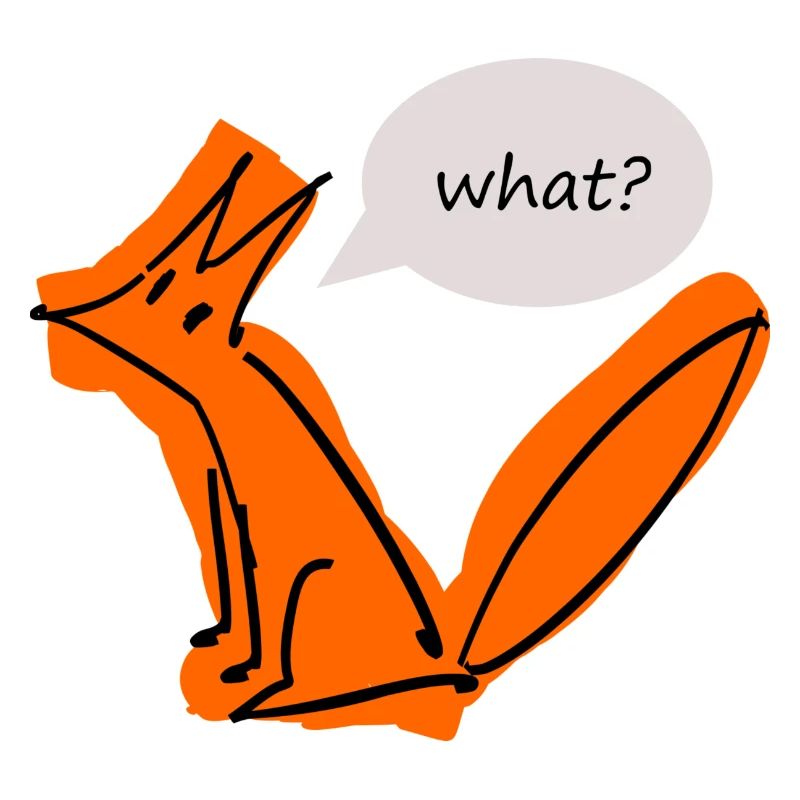 Cute Fox