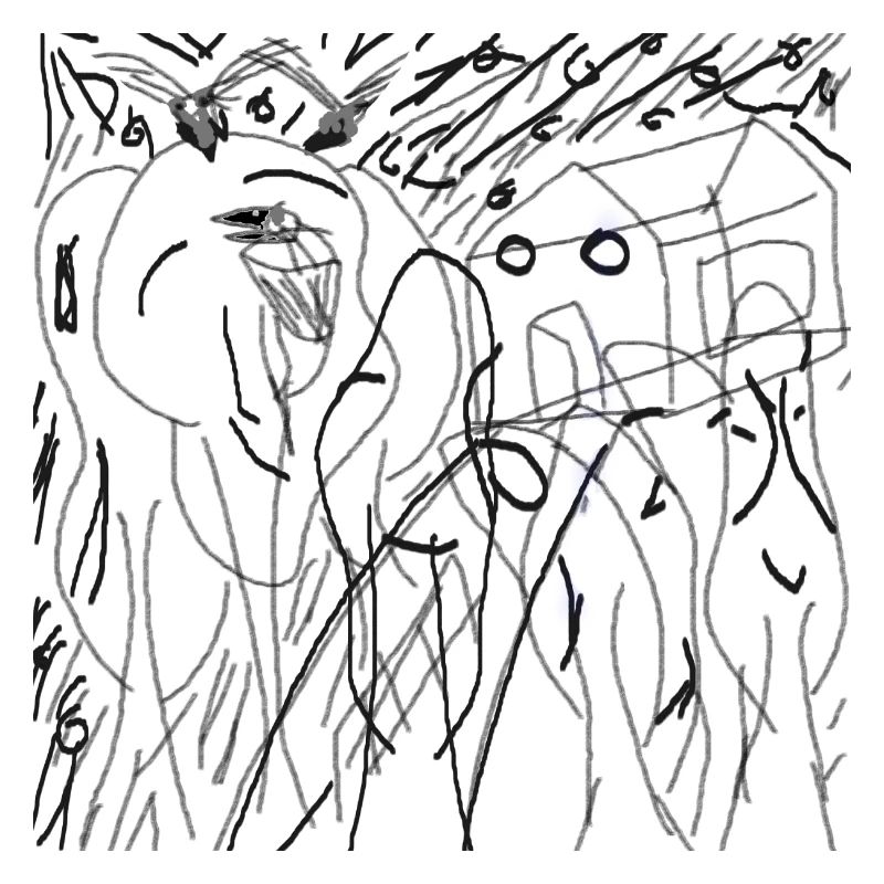 Forêt animée transparente