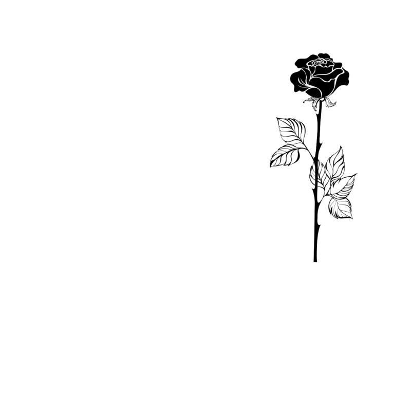 Rose noire
