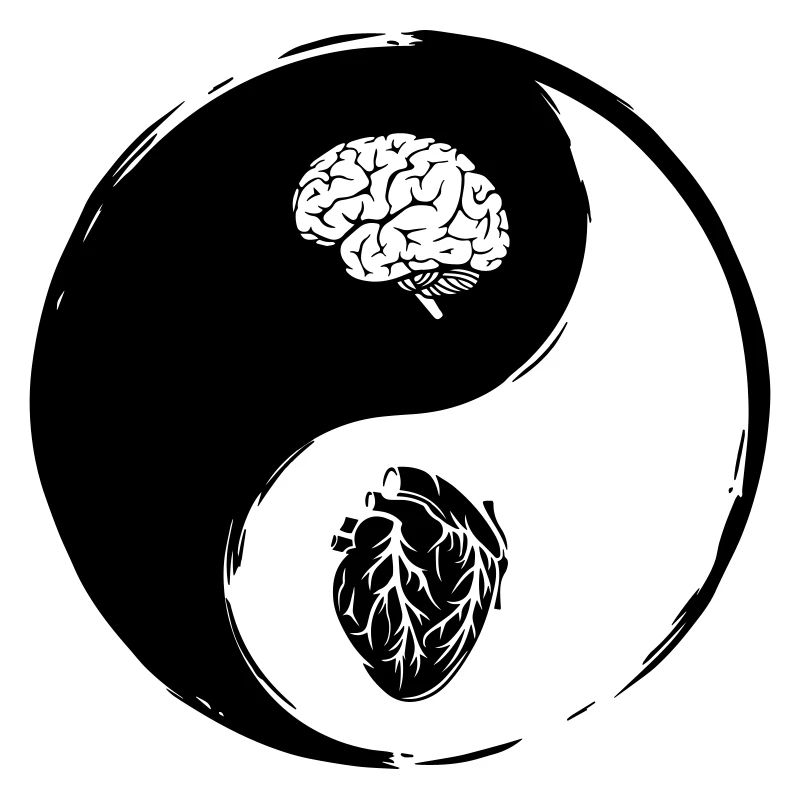 Yin Yang Herz Gehirn