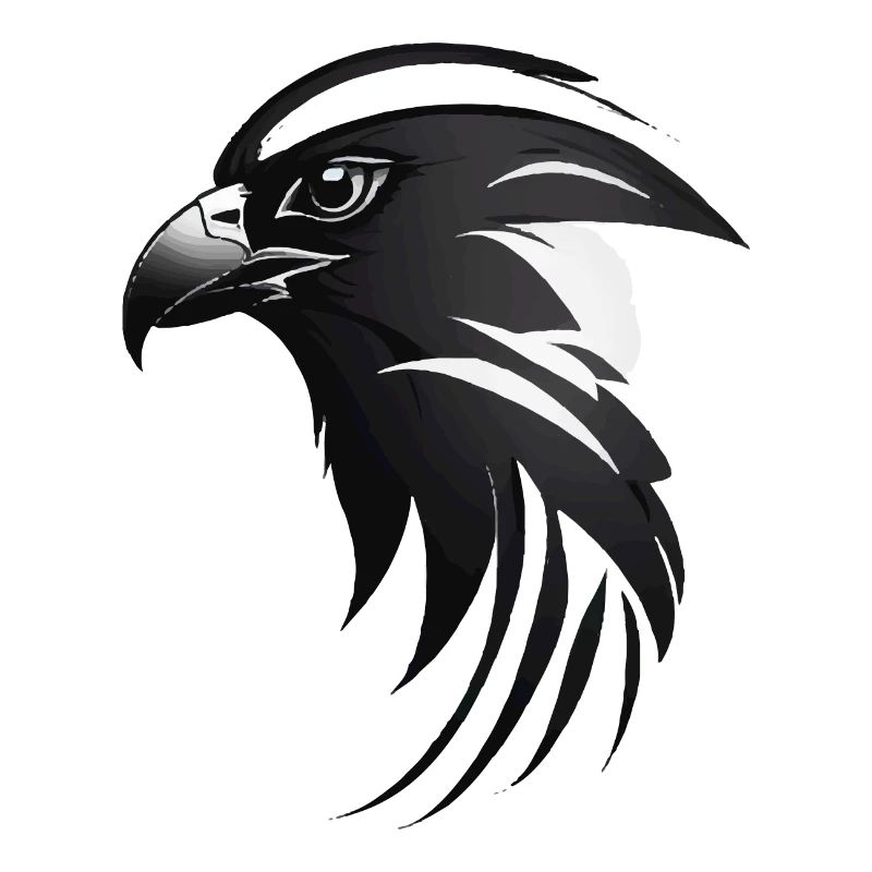 Adler Greifvogel Kopf