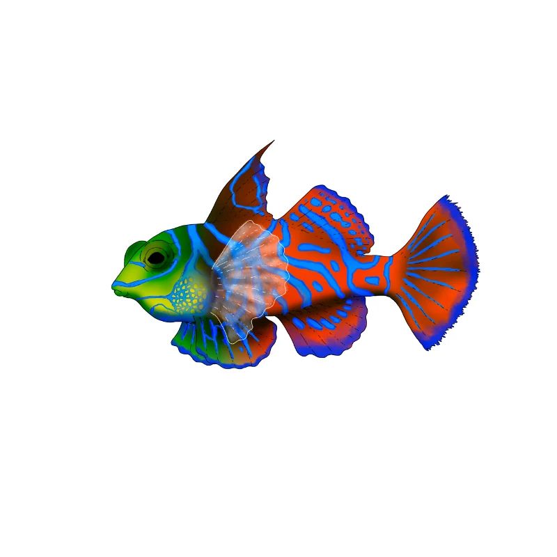 Poisson mandarin