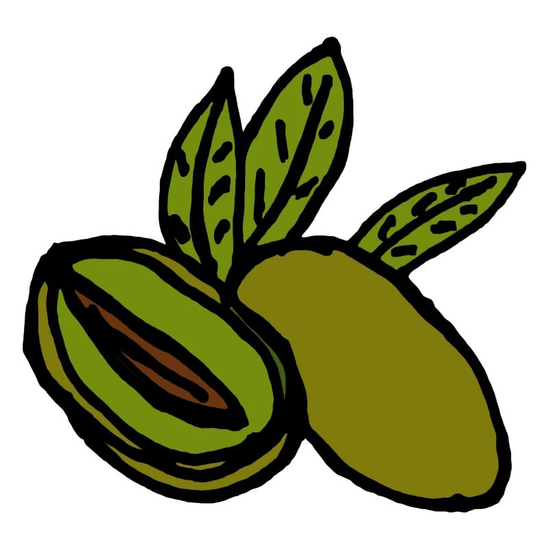 Olives Méditerranée