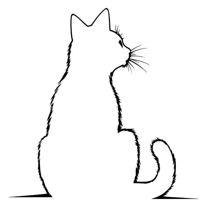 Chat, Motif De Chat
