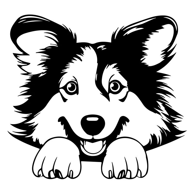 Collie