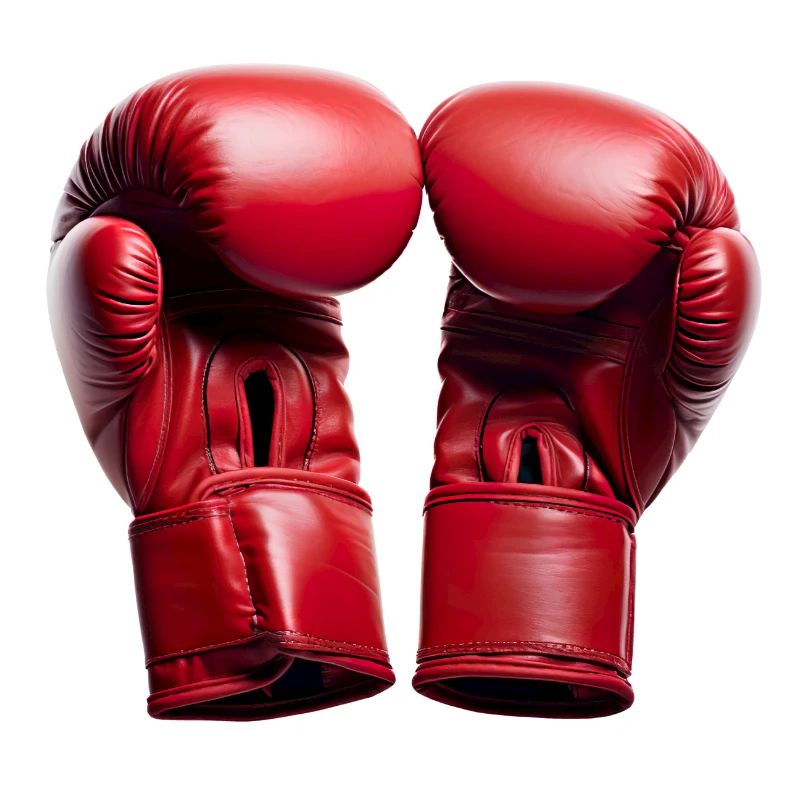 Boxing requires training and discipline
