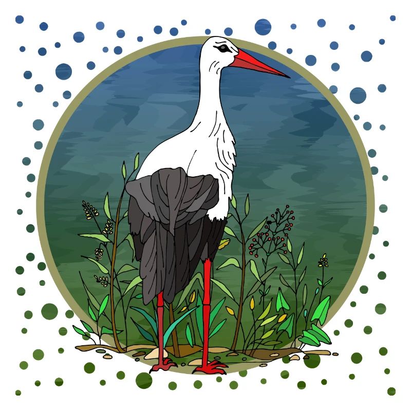 Stork bird
