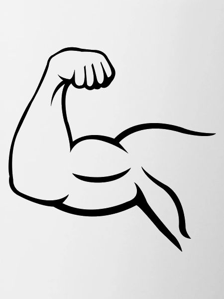 biceps
