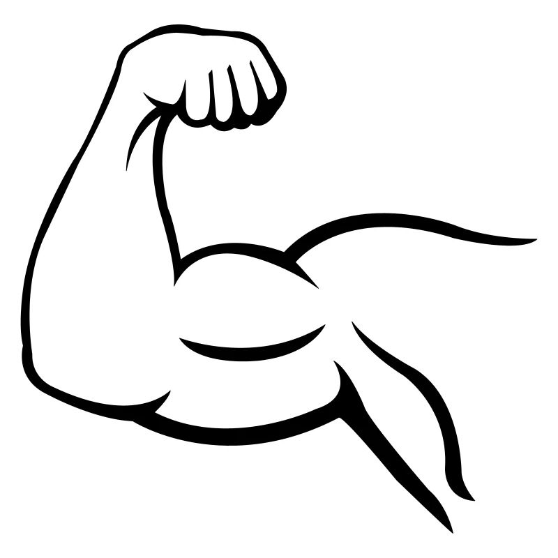 biceps