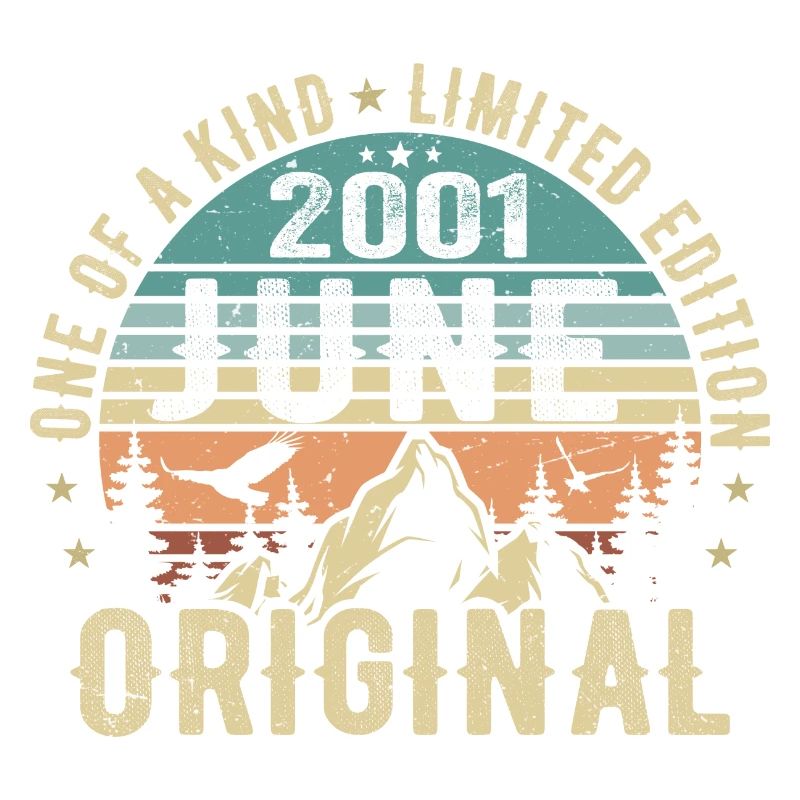 Legendär Seit Juni 2001 Geburtstag Geschenk 2001