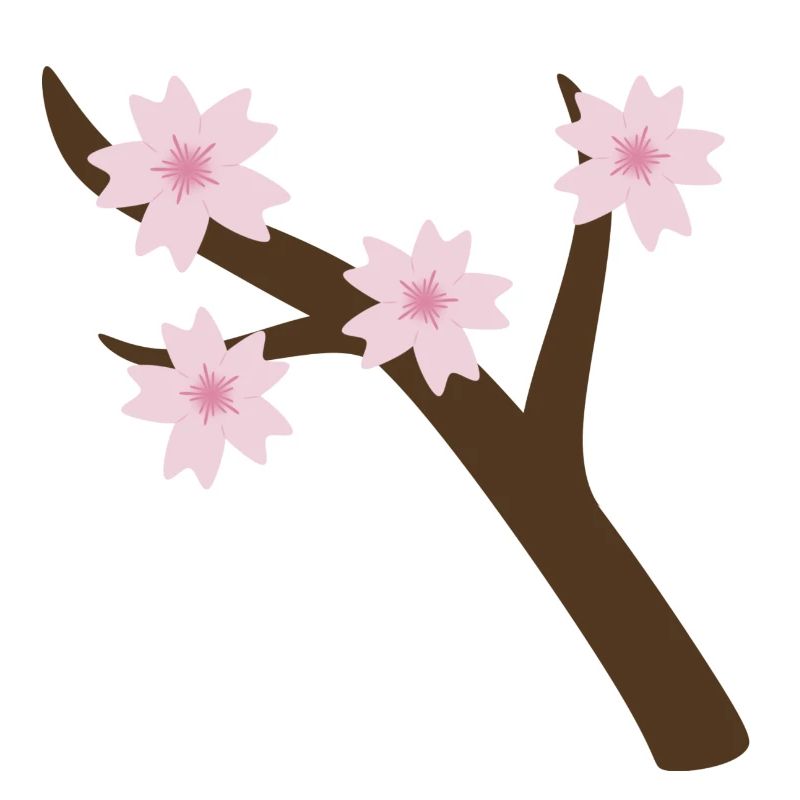 Branche de Sakura