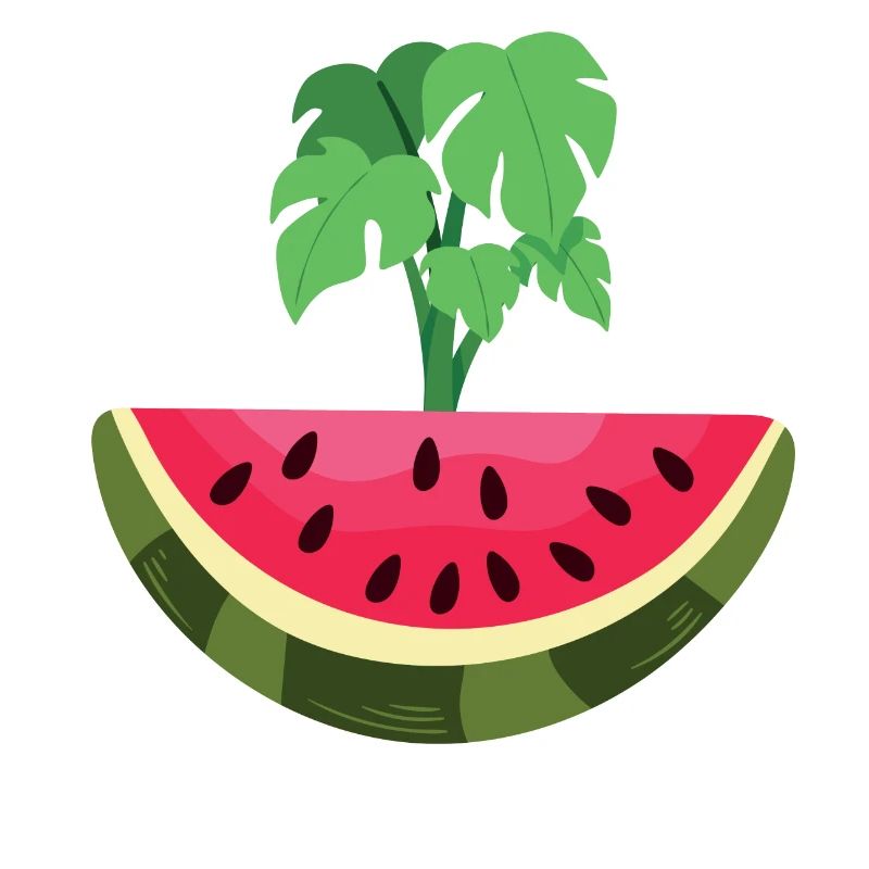 THIS IS NOT A WATERMELON