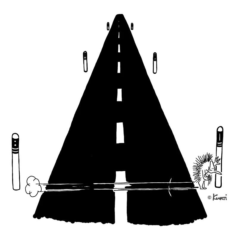 Kurti Hedgehog Comic