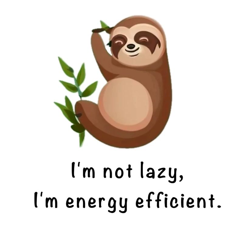 I'm not lazy, I'm energy efficient. Cute Sloth.