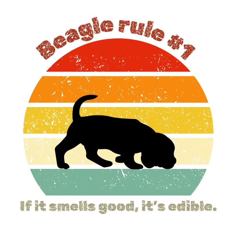 Beagle rétro