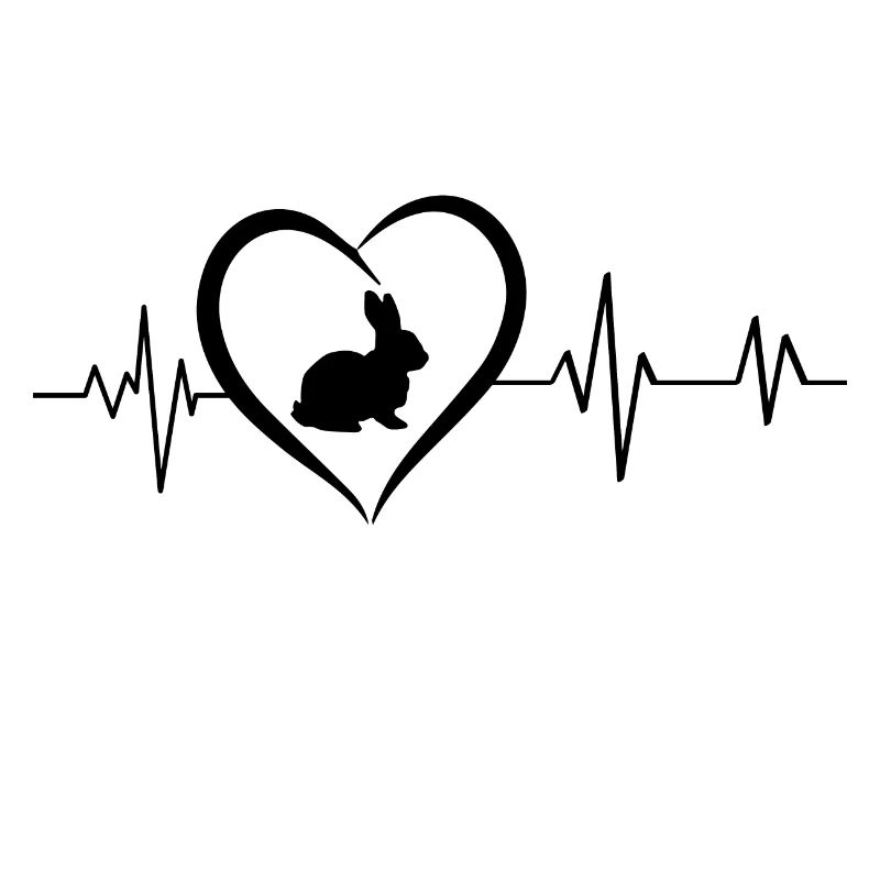 Rabbit heartbeat