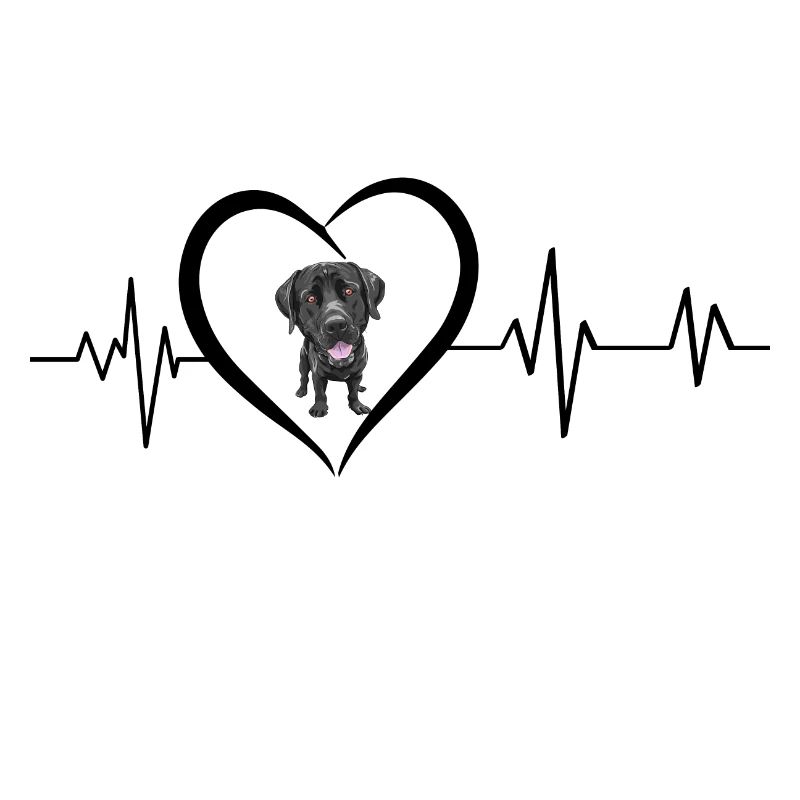 Schwarzer Labrador Herzschlag