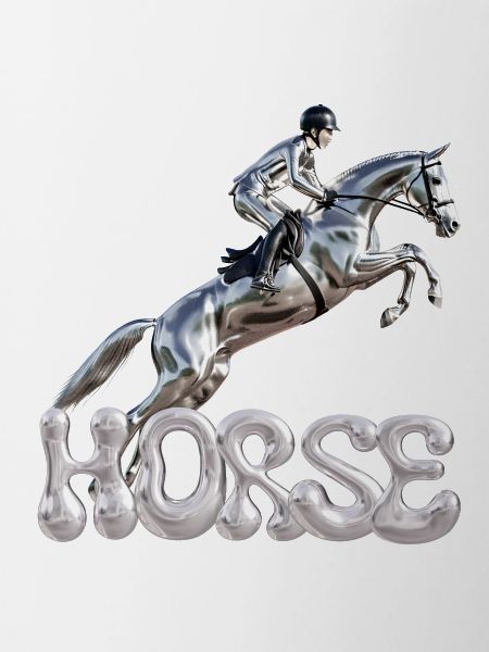 Show Jumper Chrome 1