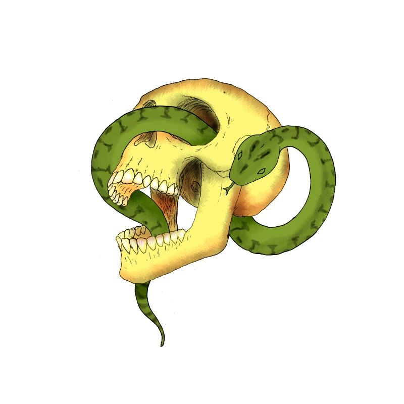 Crâne avec serpent