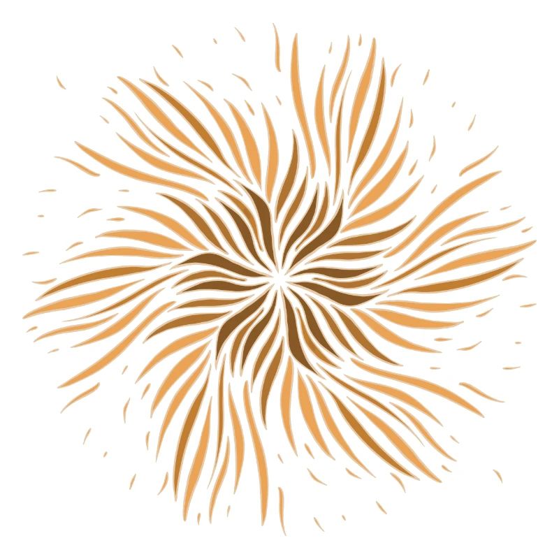 Sun Feather