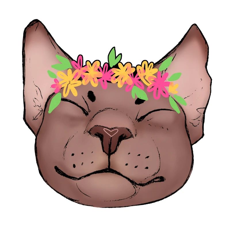 Sommerliche Katze