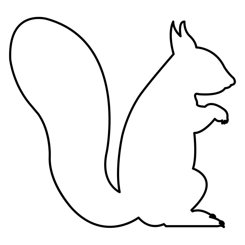 écureuil