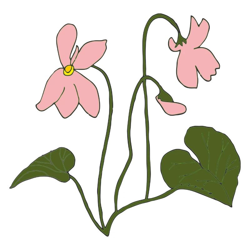 Rose Violet