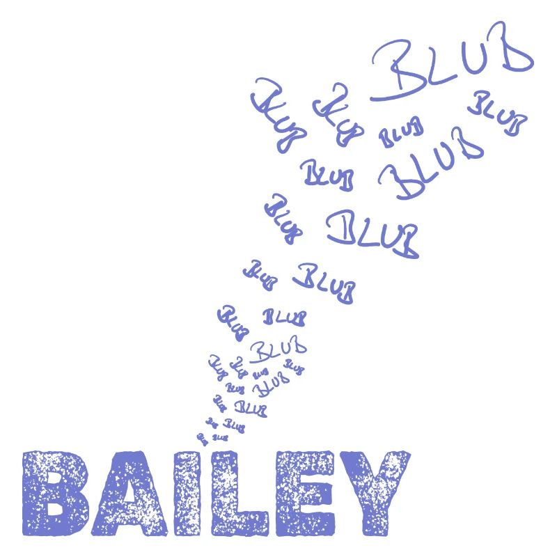 Sailing Bailey