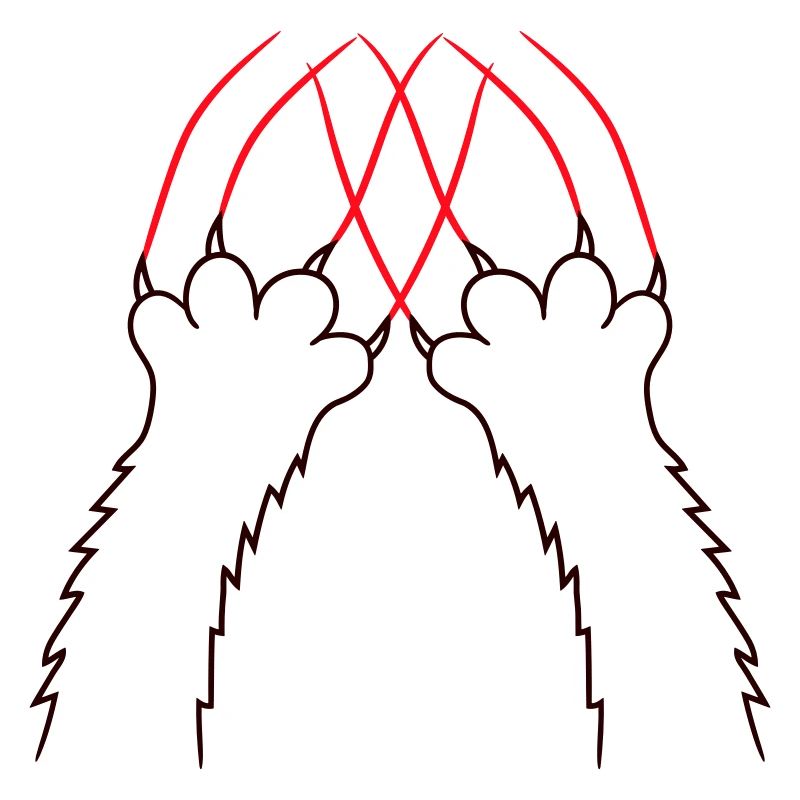 Chats, Griffes, Pattes, Pattes, Griffes, Griffures, Rayures