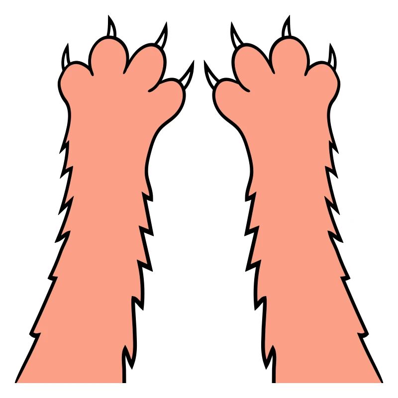 Chats, griffes, pattes, pattes, griffes acérées, grattage