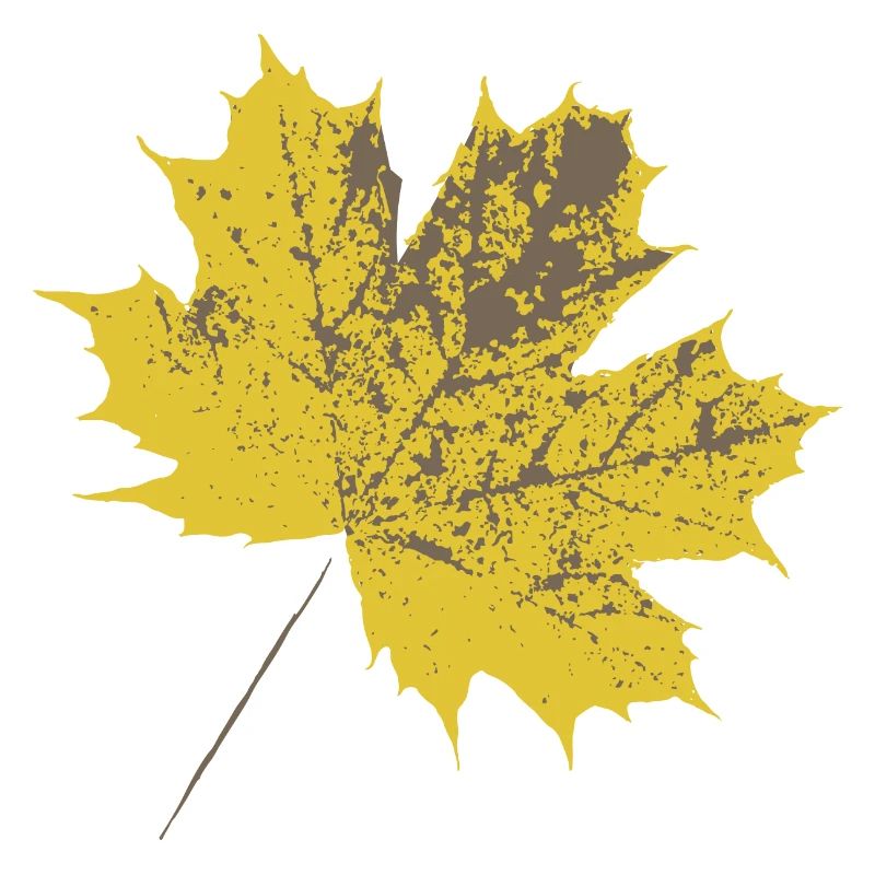 Feuille d’érable jaune