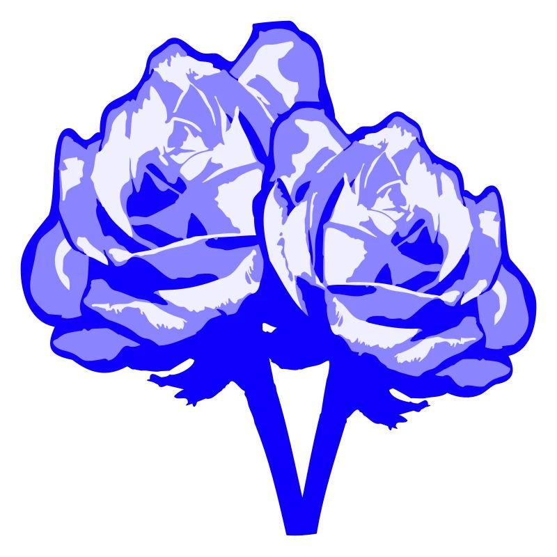 Two Beautiful Rose Blossom Leaf 2 Rose Rose Bouquet