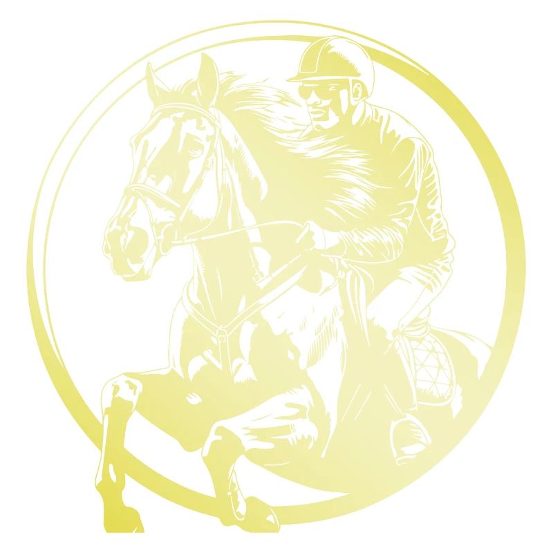 Reiten Pferd Mann