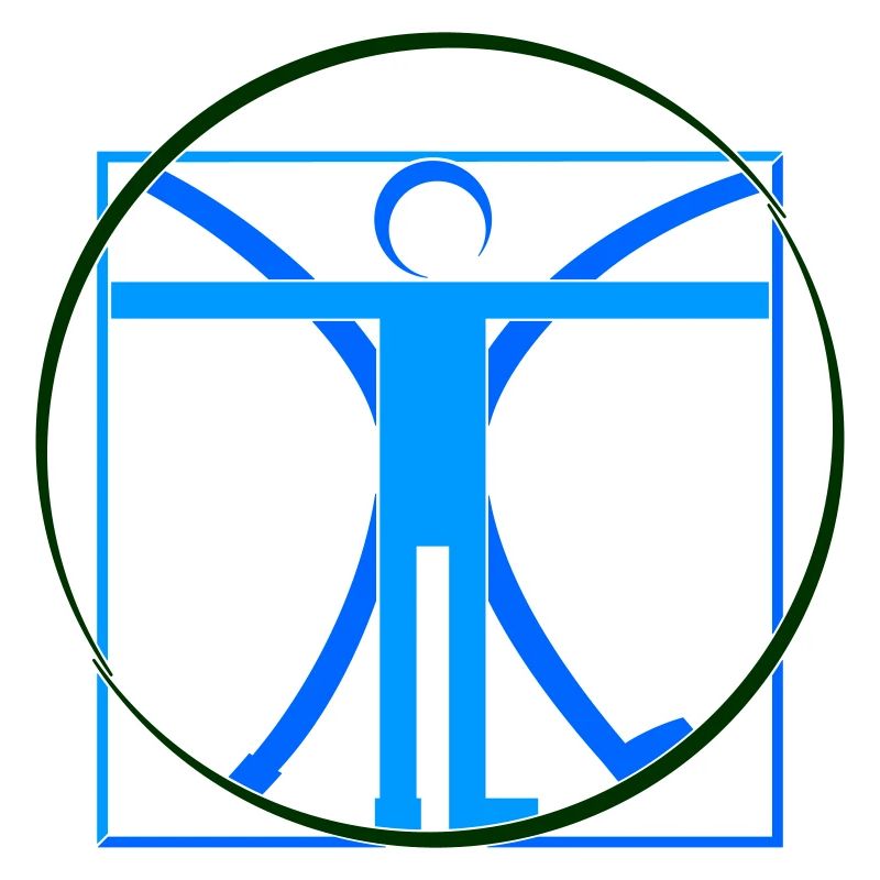Human Leonardo da Vinci Stroke - Colors Selectable