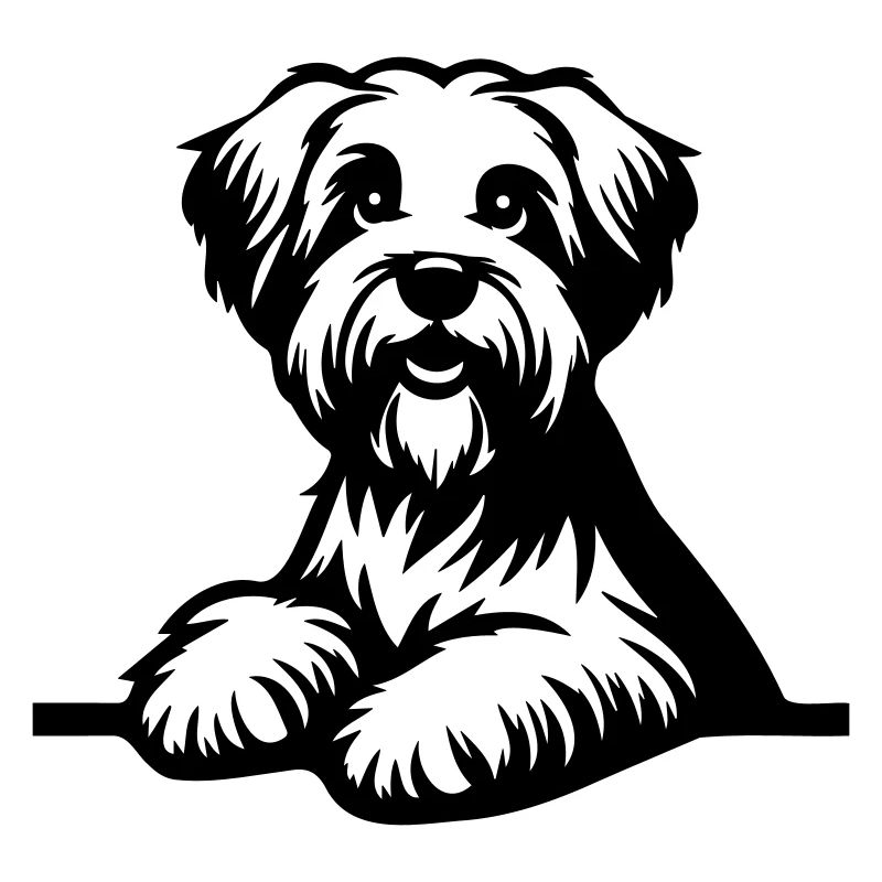 Dandie Dinmont Terrier