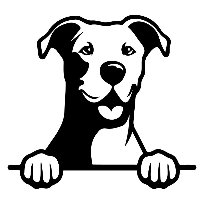 Dogue Argentin