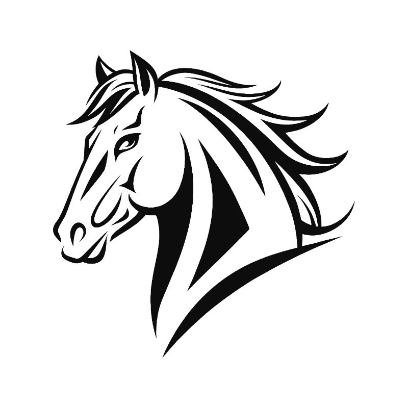 Reiten Reiten