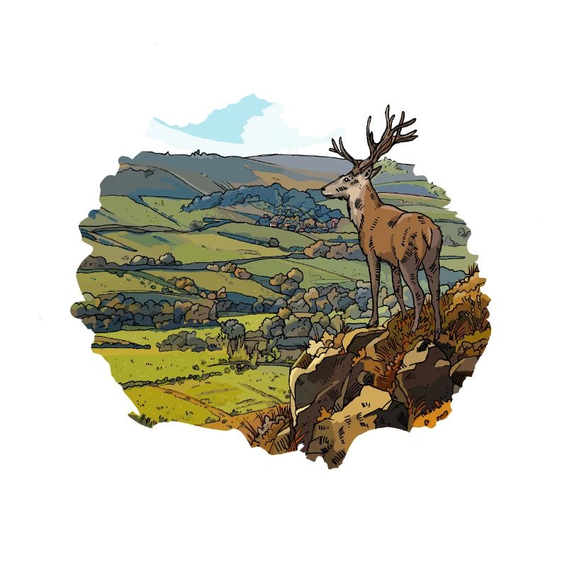 Le Cerf dans la Vallée