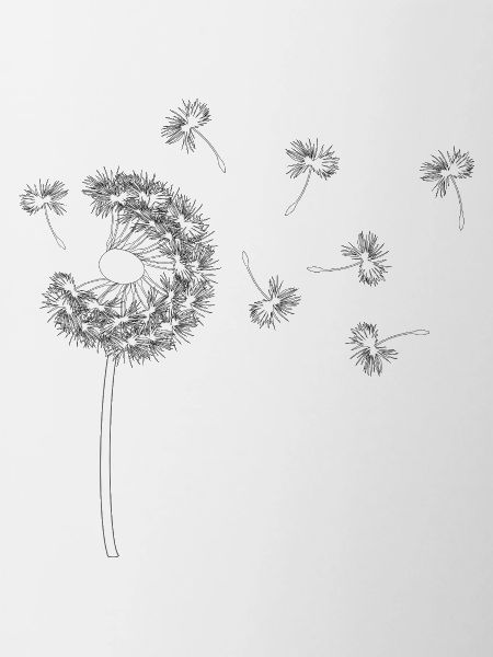 Pusteblume