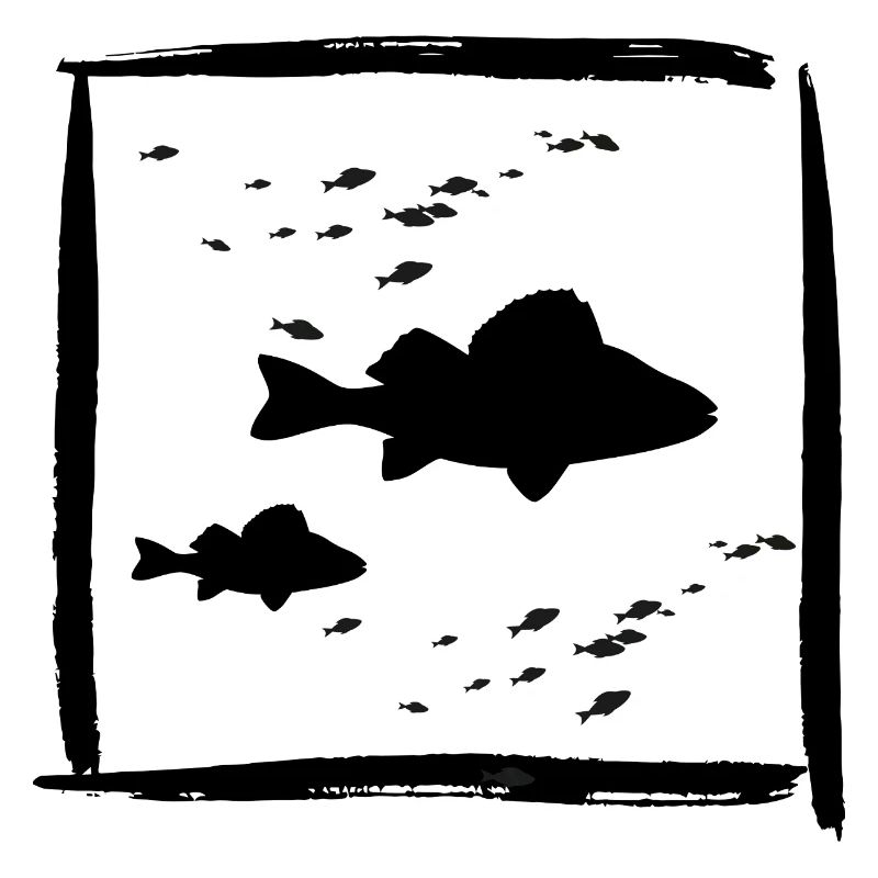 Barsch Perch